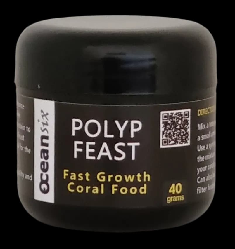 Polyp Feast