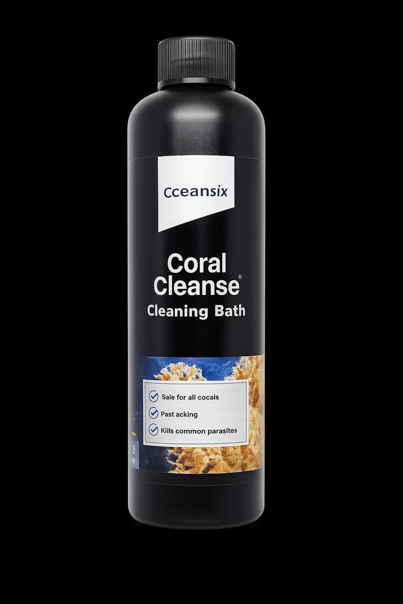 Coral Cleanse