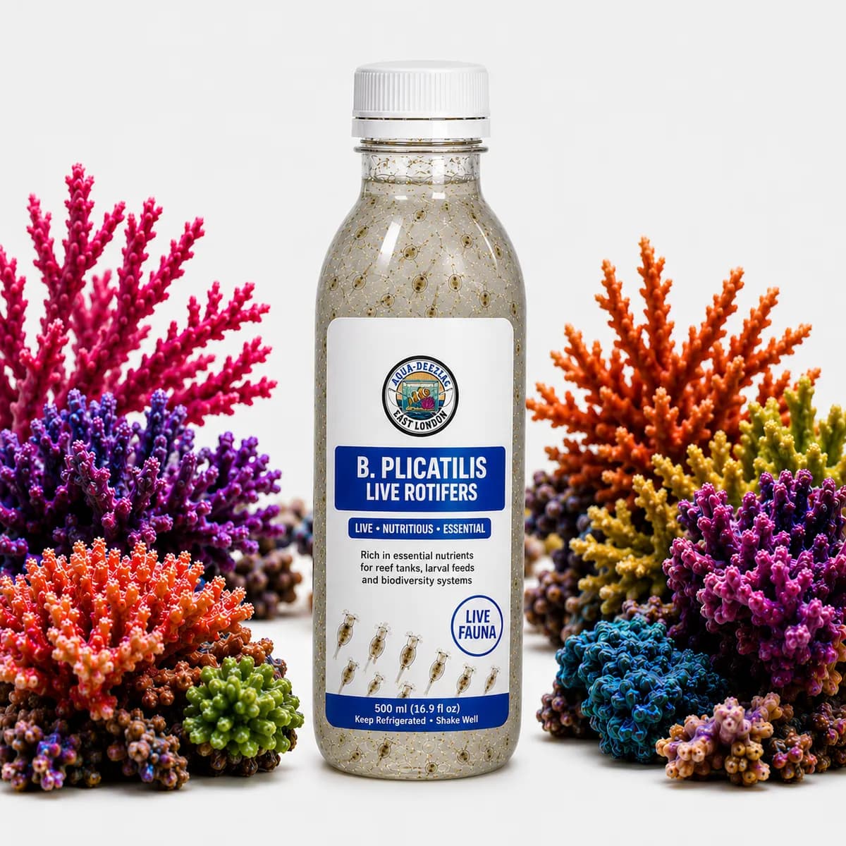Live Rotifer
