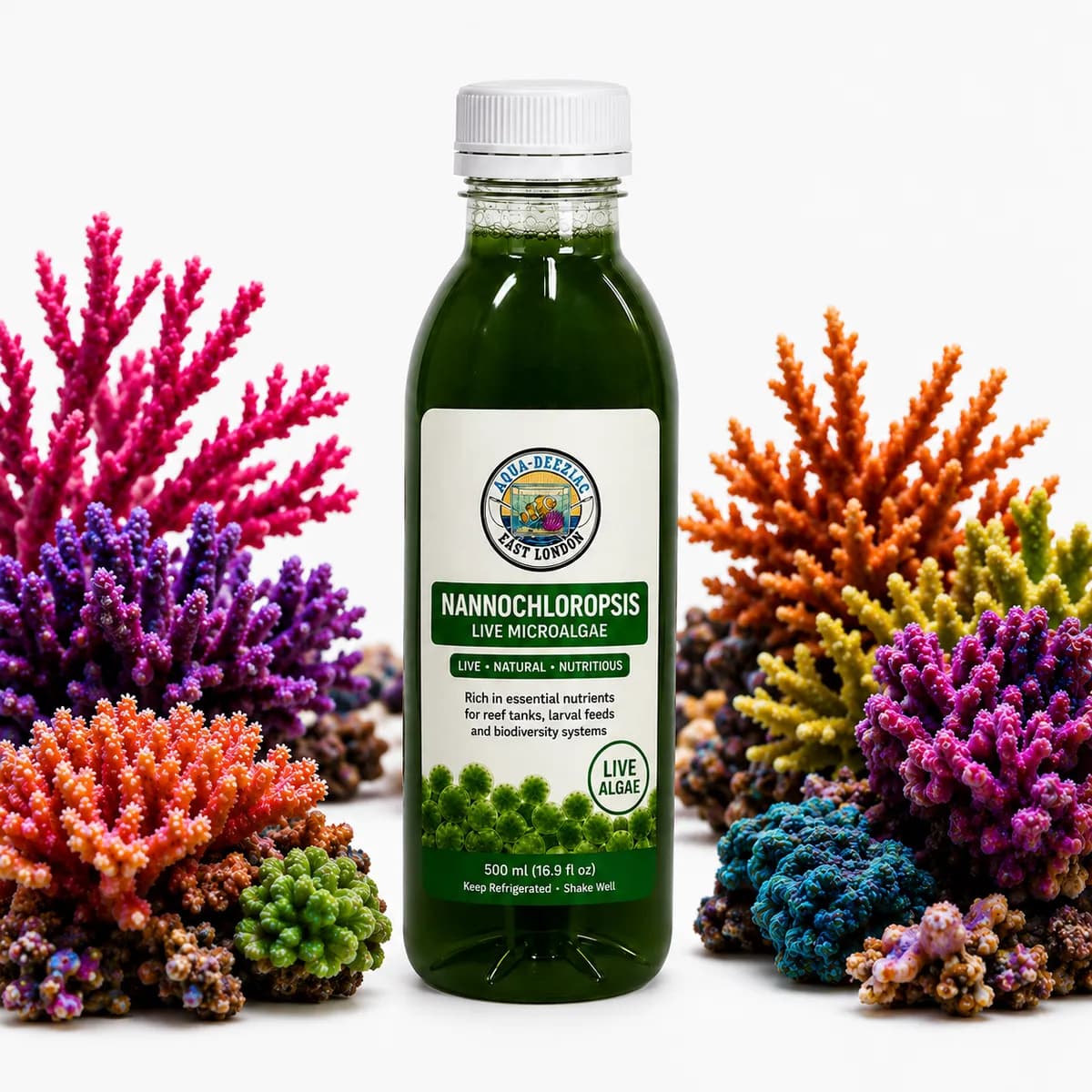 Phytoplankton