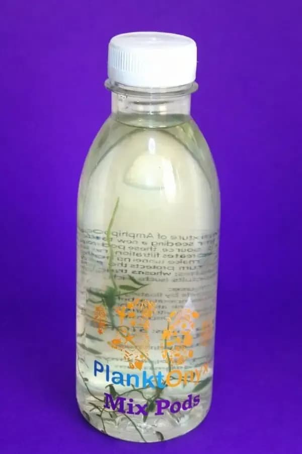 Mix Pods – Live Amphipods & Tisbe Copepods for Reef Tank Seeding & Filtration